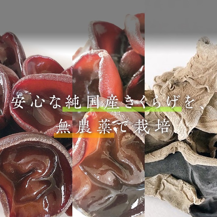 上質なきくらげをより安全に、より安心に。