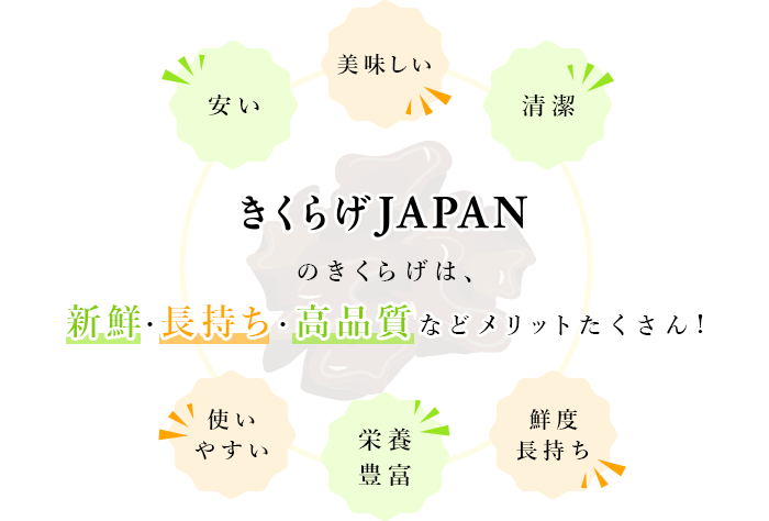 新鮮・長持ち・高品質などメリットたくさん!