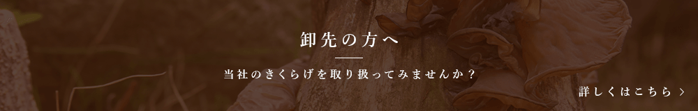卸先の方へ 当社のきくらげを取り扱ってみませんか？