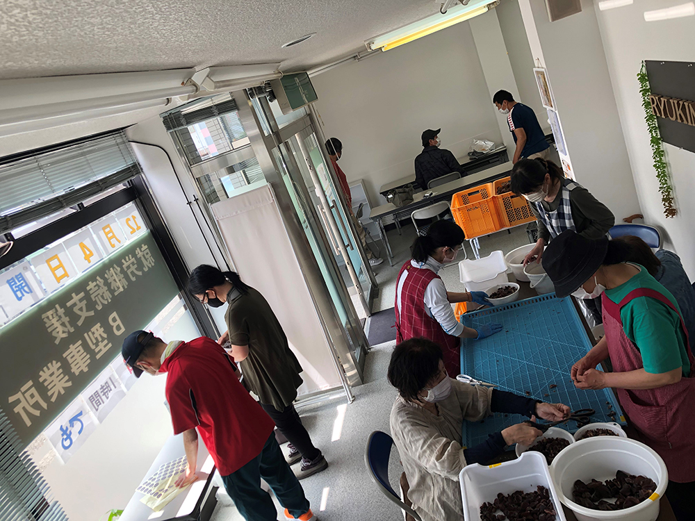 農福取り組みの様子