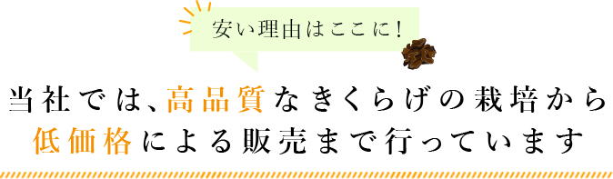 当社では、高品質なきくらげの栽培から低価格による販売まで行っています