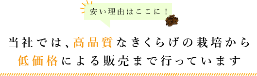当社では、高品質なきくらげの栽培から低価格による販売まで行っています